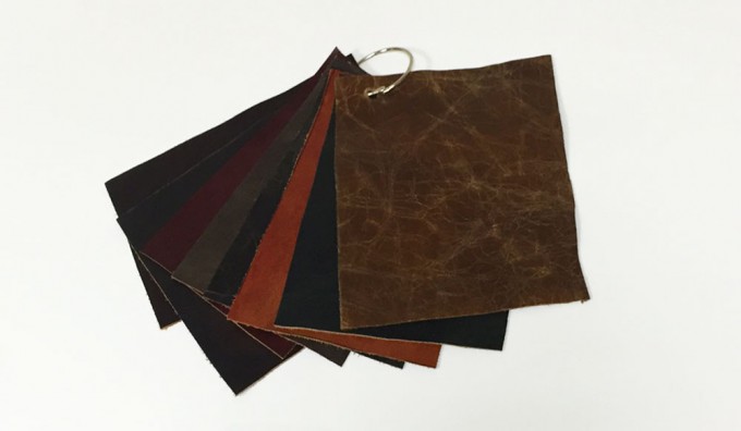 Charleston (Brand) Leather Samples