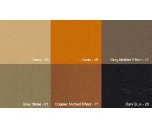 Costanza (Brand) Leather Samples