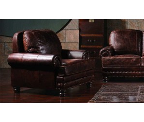 Chambers Vintage Leather - Armchair
